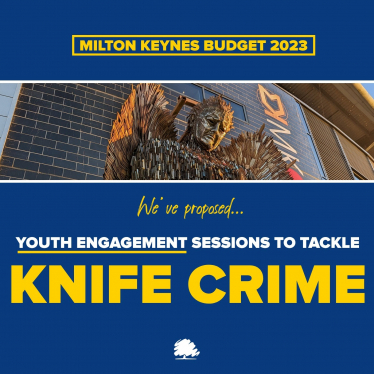 Knife crime amendment graphic